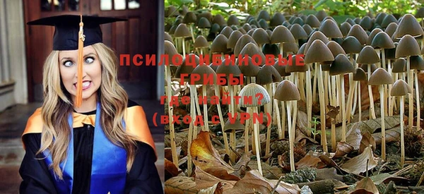 мет Ладушкин