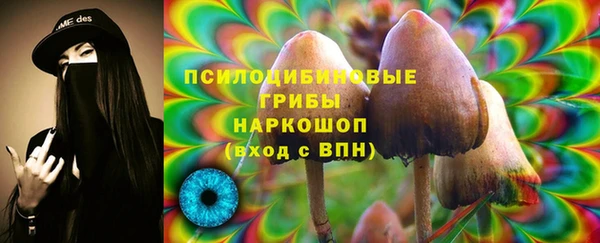 spice Лабытнанги